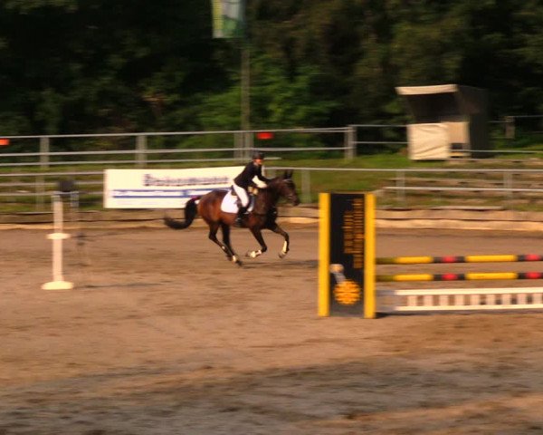 Reitturnier Lgl.-Oberhain, B95 2020