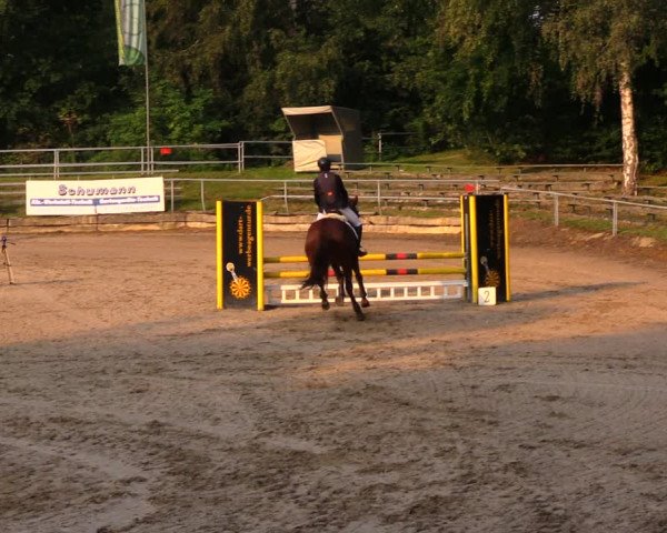 Reitturnier Lgl.-Oberhain, B95 2020