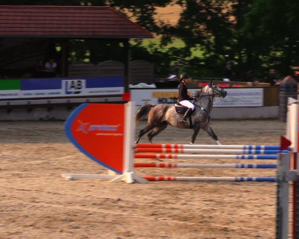 Reitturnier Lgl.-Oberhain, B95 2020