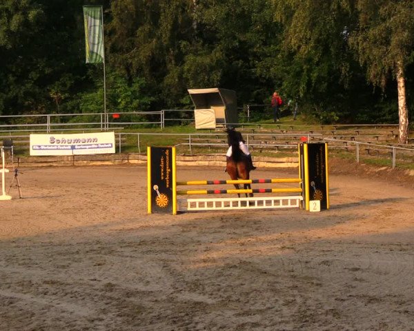 Reitturnier Lgl.-Oberhain, B95 2020