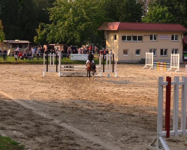 Reitturnier Lgl.-Oberhain, B95 2020