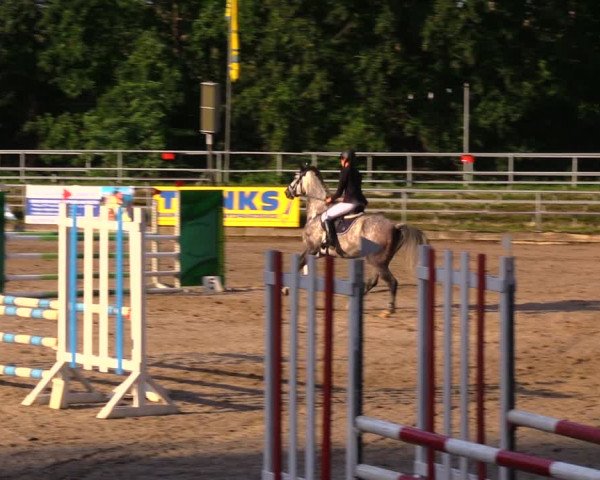 Reitturnier Lgl.-Oberhain, B95 2020