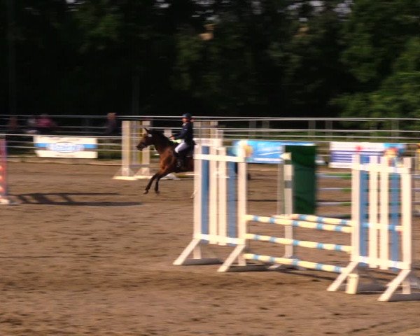 Reitturnier Lgl.-Oberhain, B95 2020