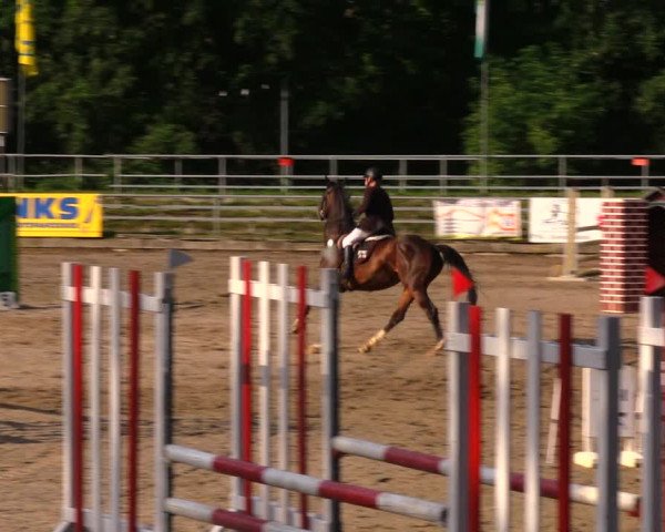 Reitturnier Lgl.-Oberhain, B95 2020