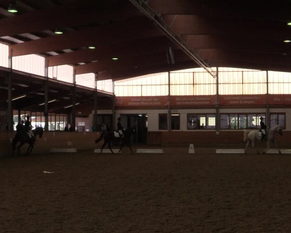 Reitturnier Appelhülsen 2020