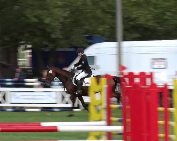 Reitturnier Münchehofe 2020