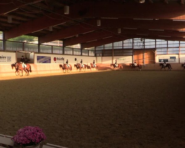 Reitturnier Meinerzhagen 2020