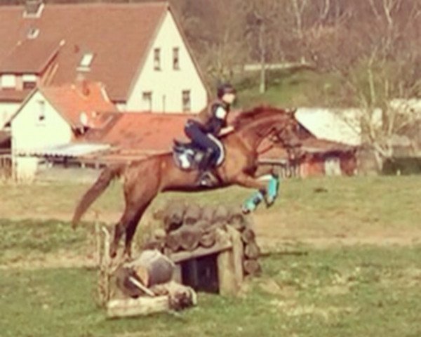 jumper Garry 48 (Brandenburg, 1997, from Goldkäfer)