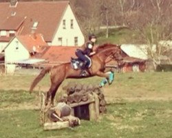 jumper Garry 48 (Brandenburg, 1997, from Goldkäfer)
