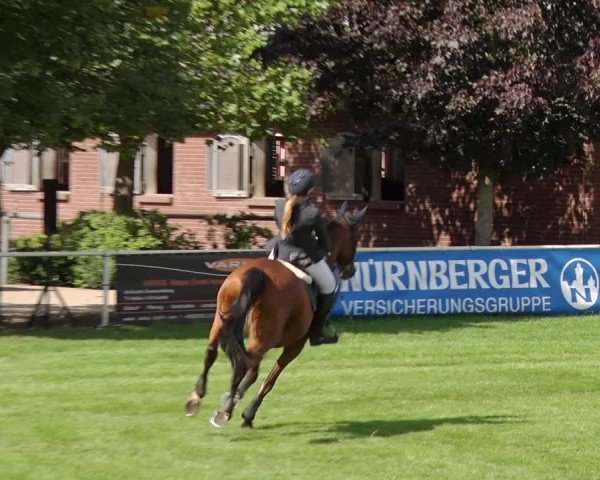Reitturnier Münchehofe 2020