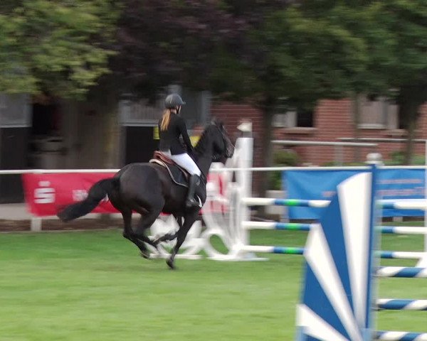 Reitturnier Münchehofe 2020