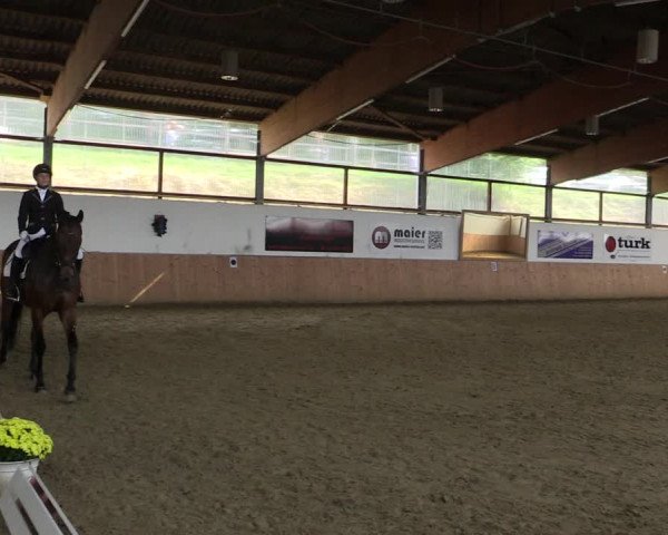 Reitturnier Meinerzhagen 2020