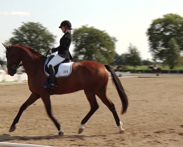 Reitturnier Münchehofe 2020