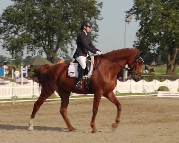 Reitturnier Münchehofe 2020