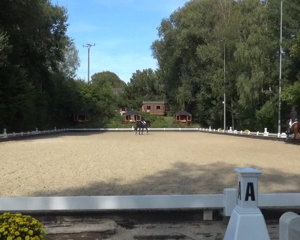 Reitturnier Mettmann - Reitanlage Löckenhoff 2020