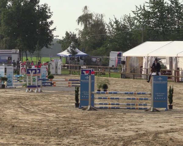 Reitturnier Albersloh 2020