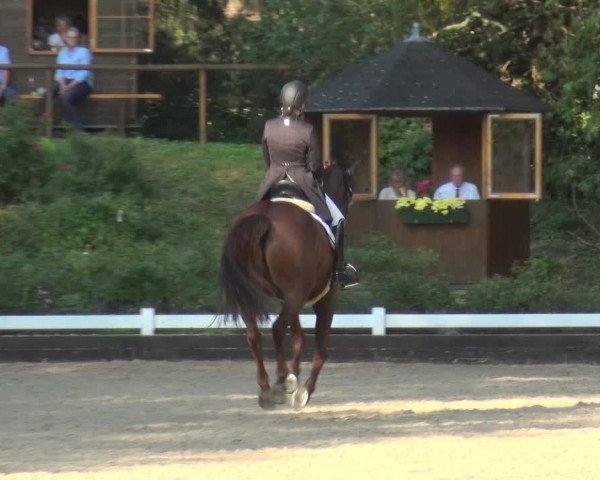 Reitturnier Mettmann - Reitanlage Löckenhoff 2020