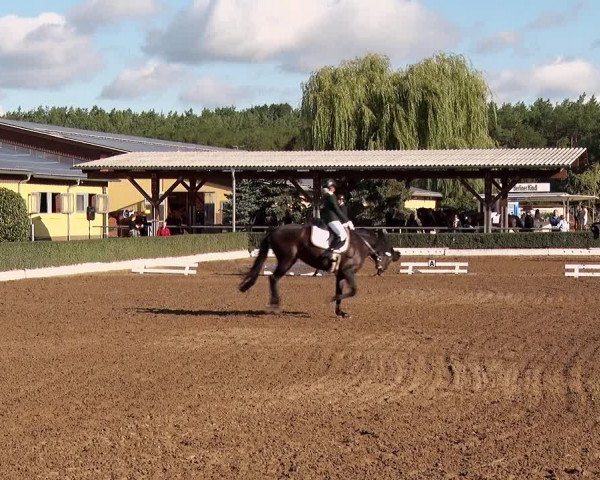 Reitturnier Jühnsdorf 2020