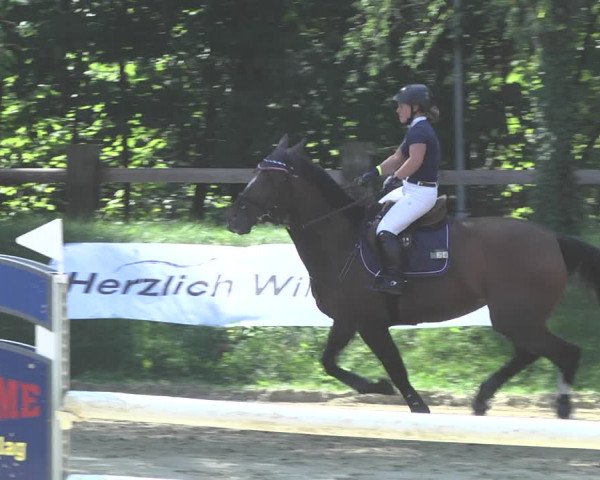 Reitturnier Walldorf/Winterheck 2020