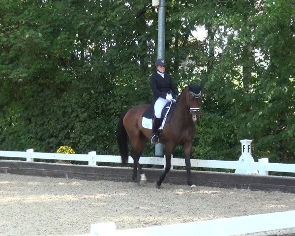 Reitturnier Mettmann - Reitanlage Löckenhoff 2020