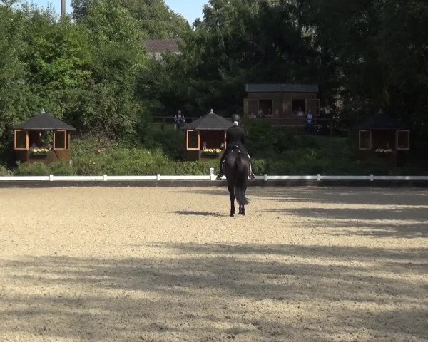 Reitturnier Mettmann - Reitanlage Löckenhoff 2020