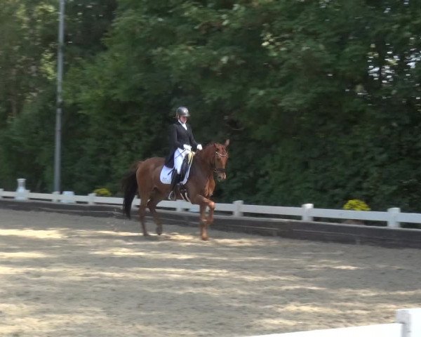 Reitturnier Mettmann - Reitanlage Löckenhoff 2020