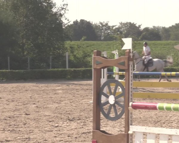 Reitturnier Dorsten-Gut Hohenkamp 2020