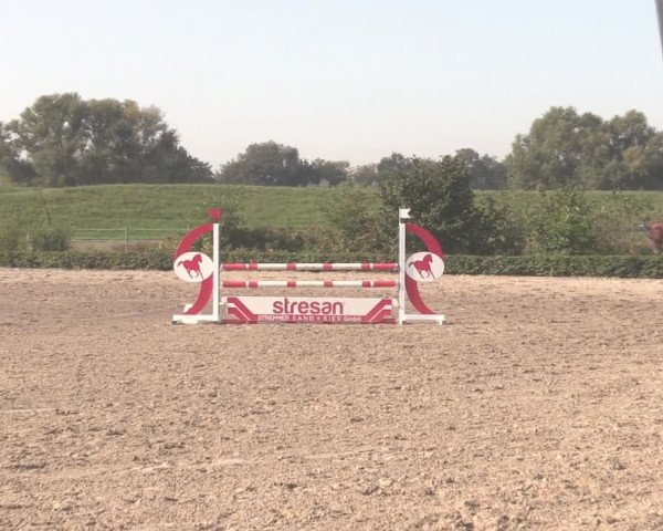 Reitturnier Dorsten-Gut Hohenkamp 2020