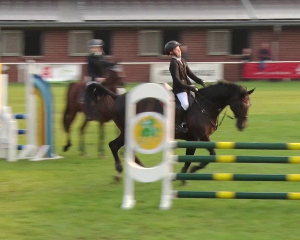 Reitturnier Münchehofe 2020