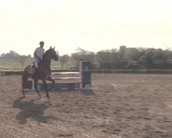 Reitturnier Dorsten-Gut Hohenkamp 2020