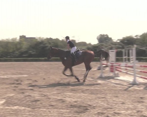 Reitturnier Dorsten-Gut Hohenkamp 2020