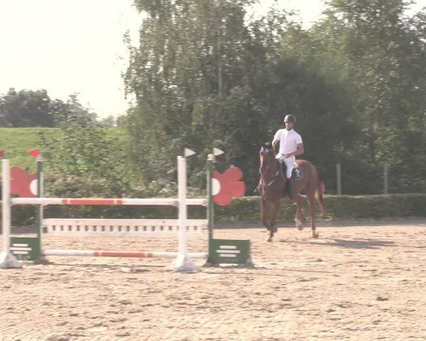 Reitturnier Dorsten-Gut Hohenkamp 2020
