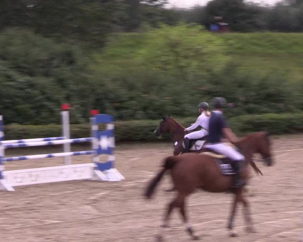 Spring Late Entry Gut Hohenkamp / Dorsten 2021