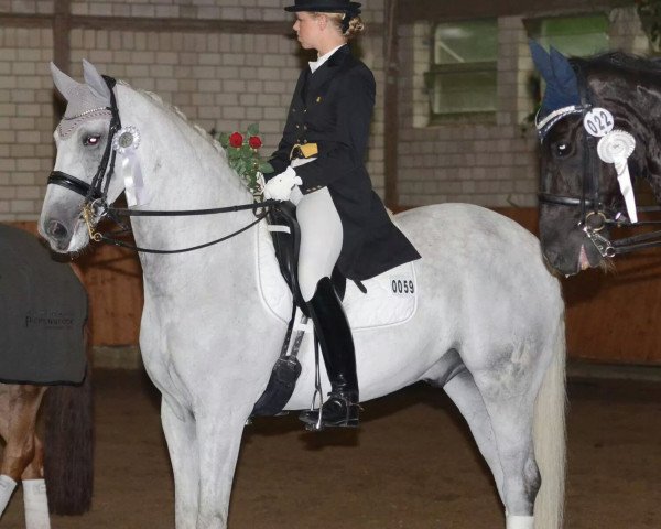 Dressurpferd Laschiro (Rheinländer, 2002, von Louis le Bon)