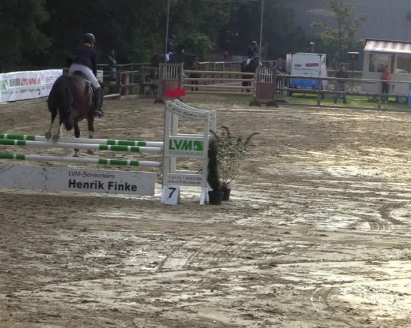 Reitturnier Albersloh 2020