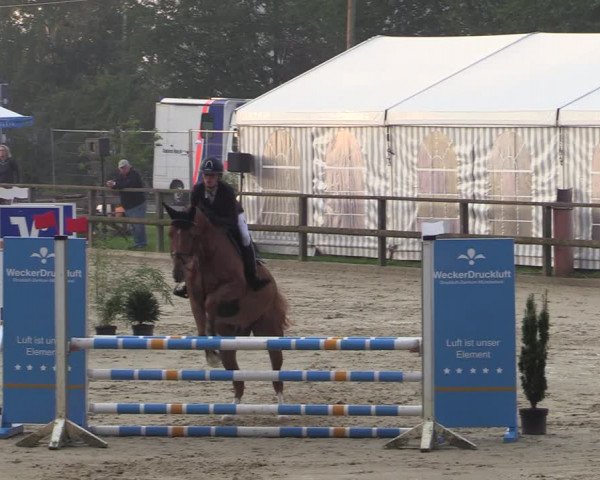 Reitturnier Albersloh 2020