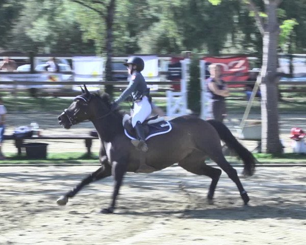 Reitturnier Walldorf/Winterheck 2020
