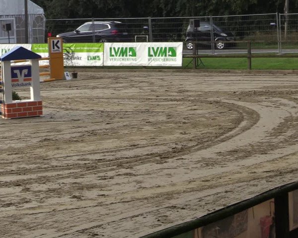 Reitturnier Albersloh 2020