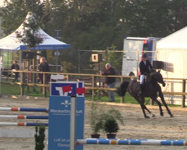 Reitturnier Albersloh 2020