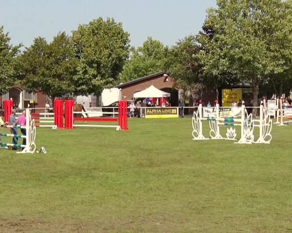 Reitturnier Münchehofe 2020