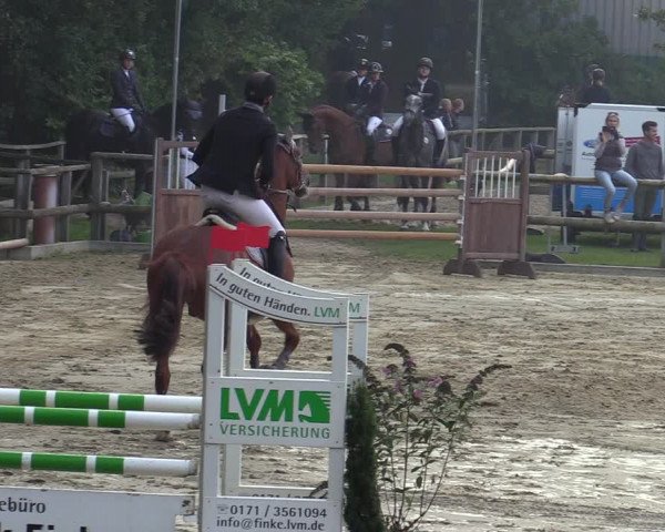 Reitturnier Albersloh 2020
