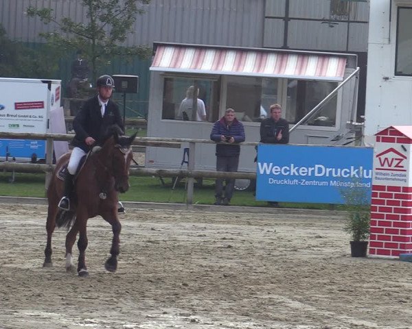 Reitturnier Albersloh 2020