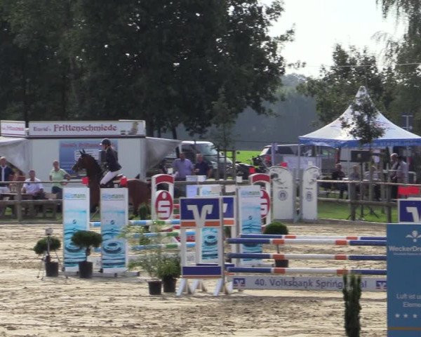 Reitturnier Albersloh 2020