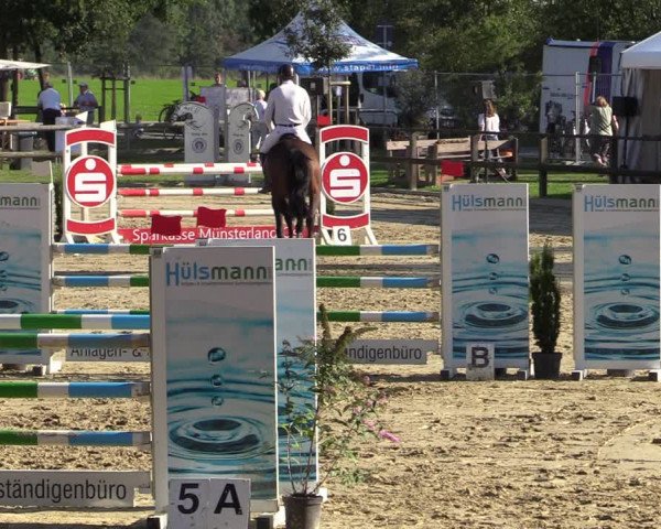 Reitturnier Albersloh 2020