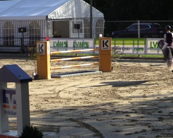 Reitturnier Albersloh 2020