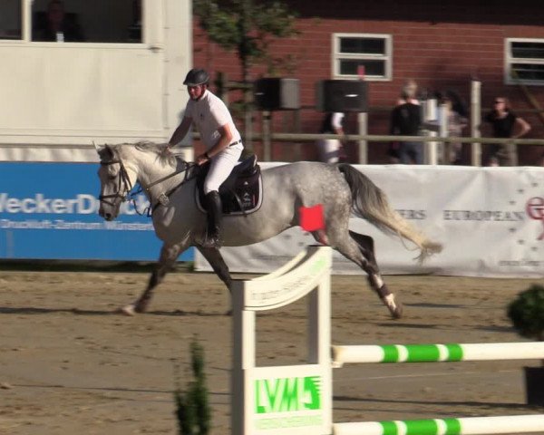 Reitturnier Albersloh 2020