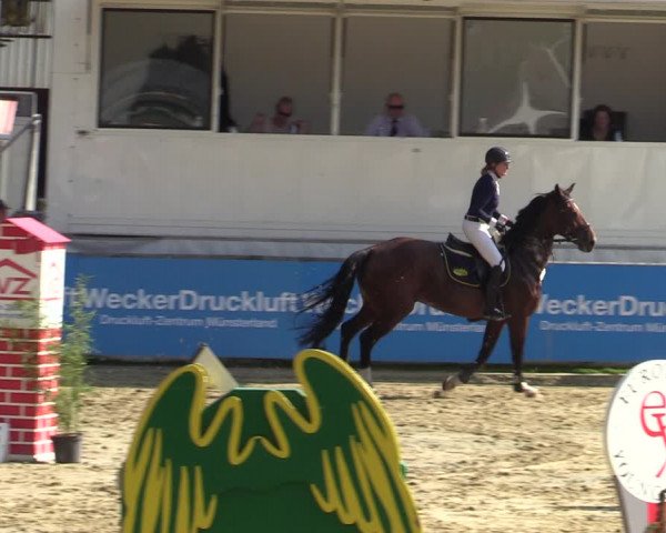 Reitturnier Albersloh 2020