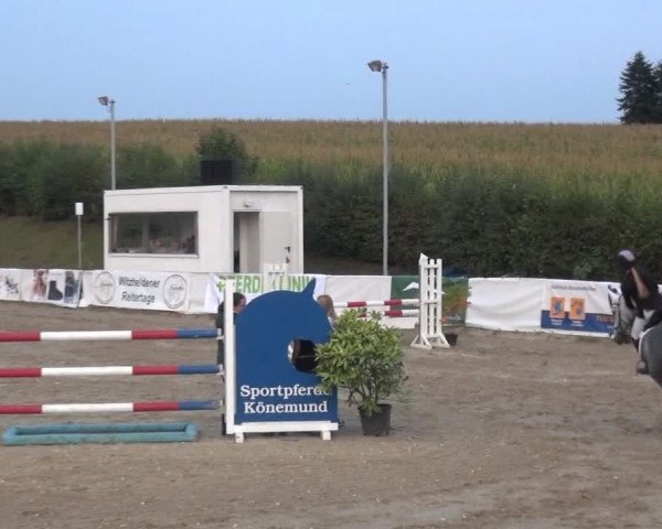 Reitturnier Leichlingen-Witzhelden 2020