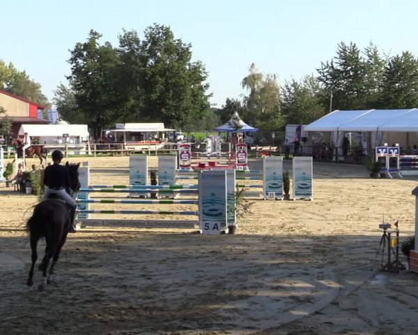 Reitturnier Albersloh 2020
