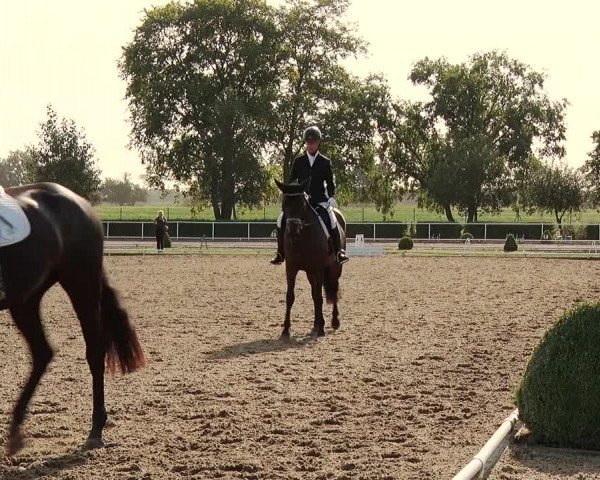 Reitturnier Münchehofe 2020